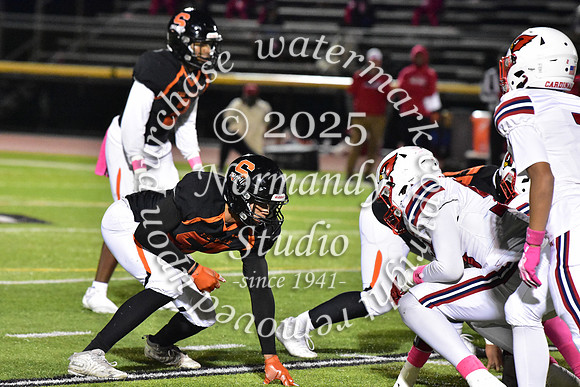 SVL_fb_73
