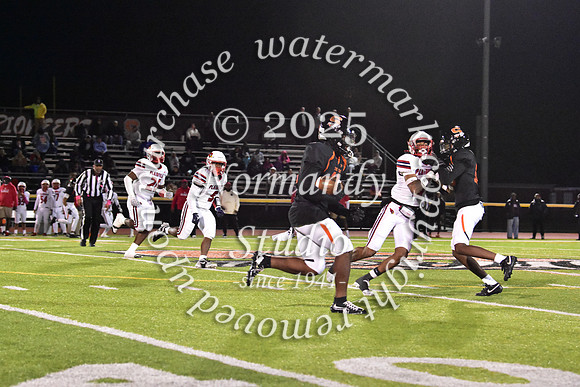 SVL_fb_79