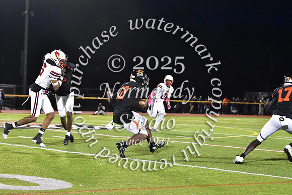 SVL_fb_80