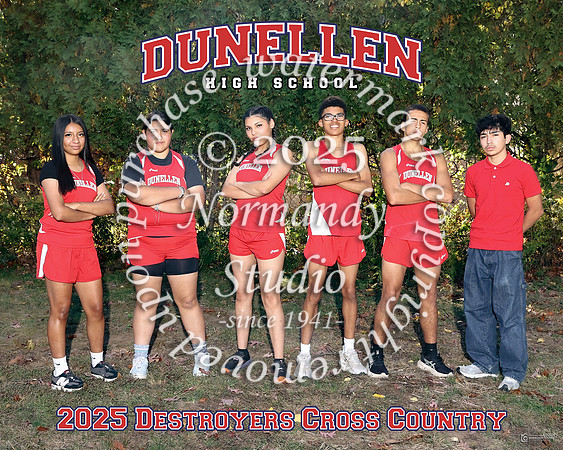 DHS-CC-T