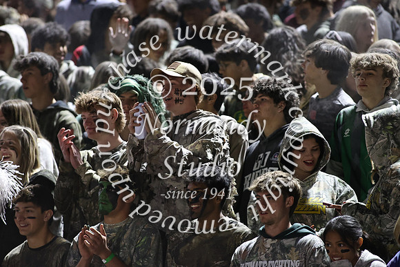 HCH_fans_07