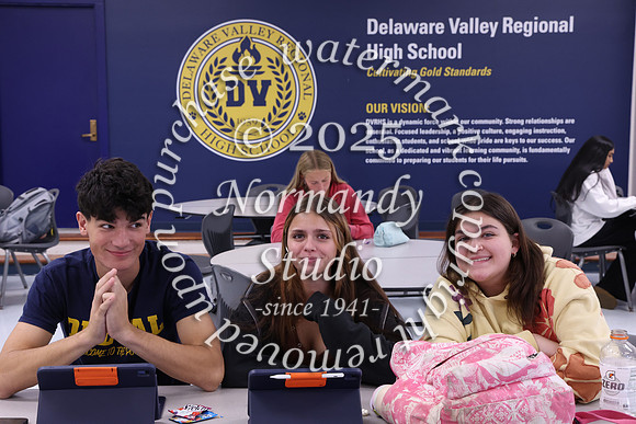 DVH_slc_005
