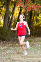 MSM_cc_14