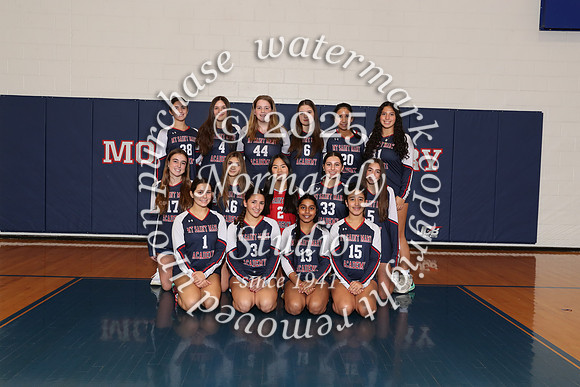 MSM_vb-g-f-t_03