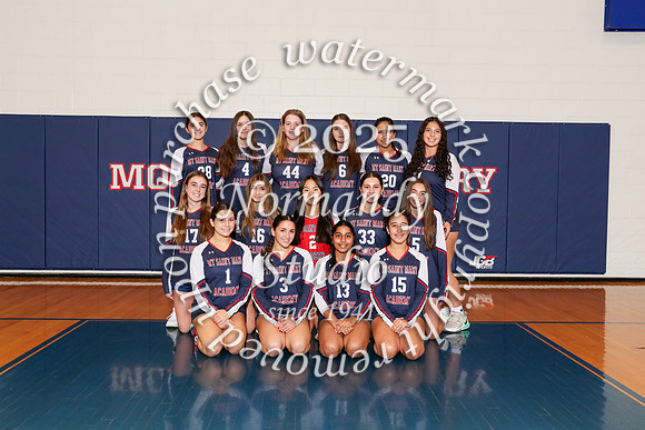 MSM_vb-g-f-t_02