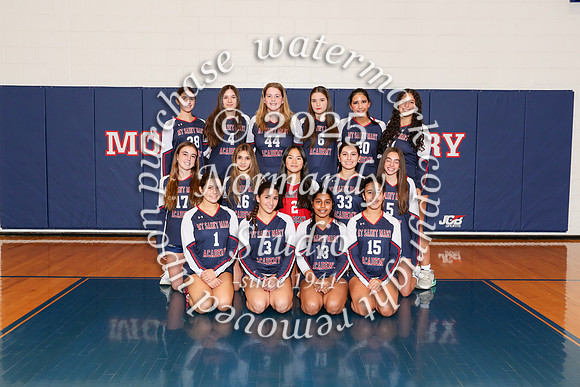 MSM_vb-g-f-t_04