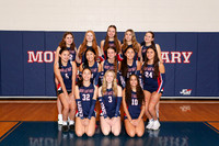 MSM_vb-g-v-t_03