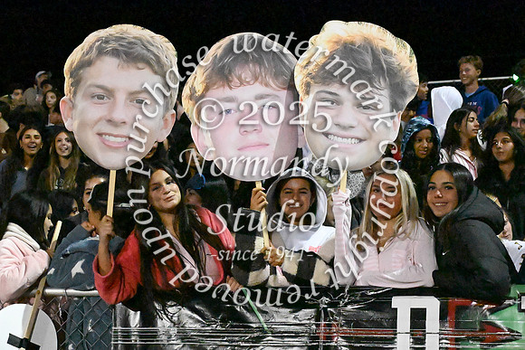 RDG_fans_07
