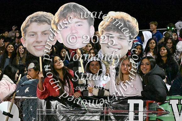RDG_fans_06