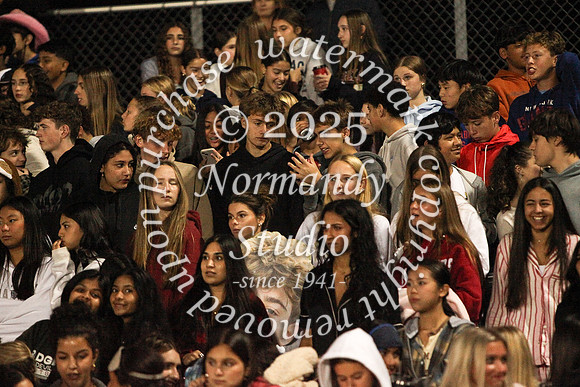 RDG_fans_30