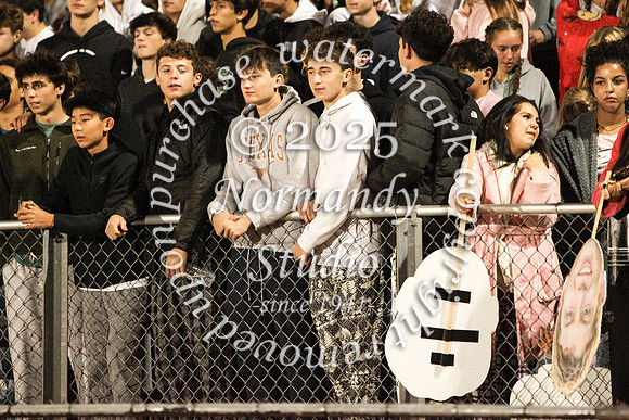 RDG_fans_40