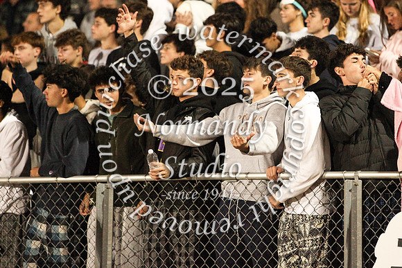 RDG_fans_46