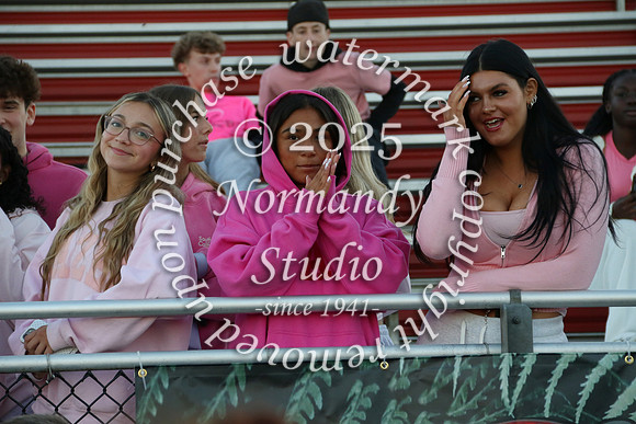 JTH_fans_01
