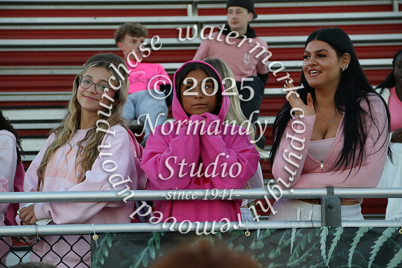 JTH_fans_03