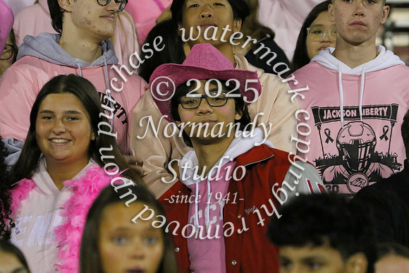 JTH_fans_15