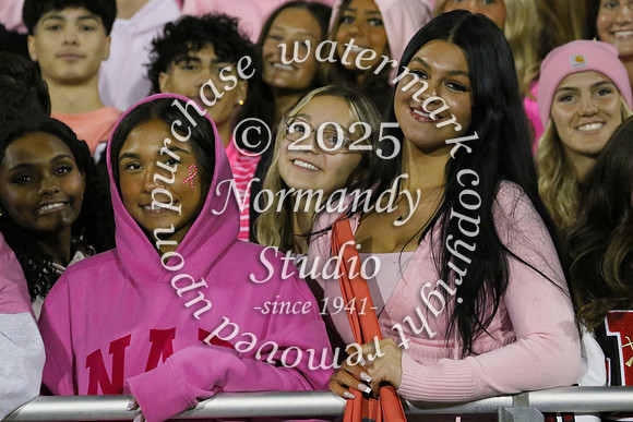JTH_fans_17