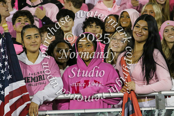 JTH_fans_18