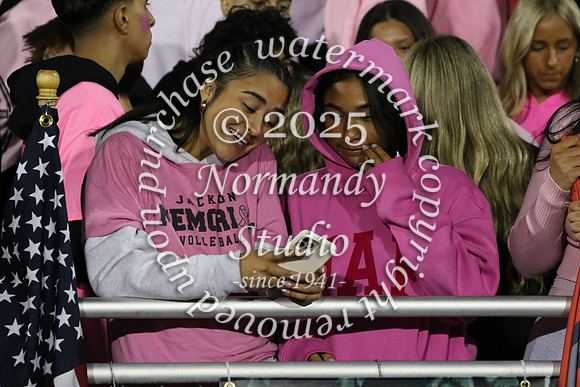 JTH_fans_31