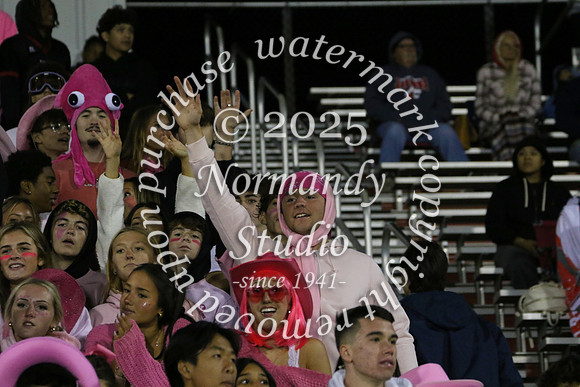 JTH_fans_35