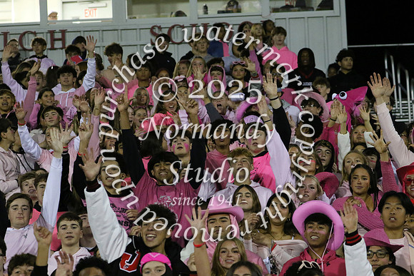 JTH_fans_39
