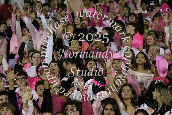 JTH_fans_42
