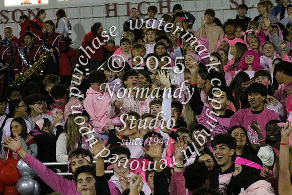 JTH_fans_44