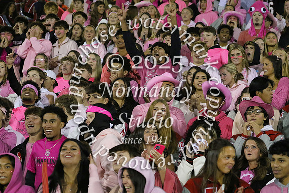 JTH_fans_57
