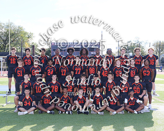 SVL_fb-v-t_03