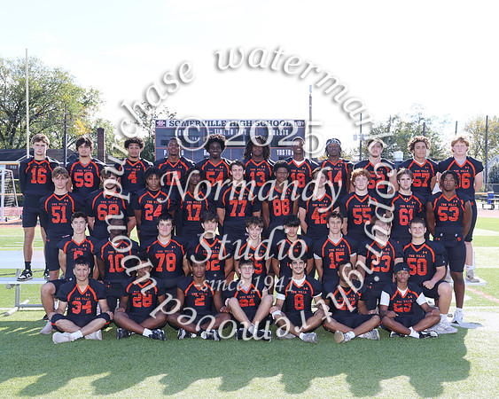 SVL_fb-v-t_04
