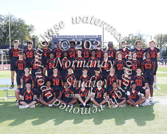 SVL_fb-v-t_05