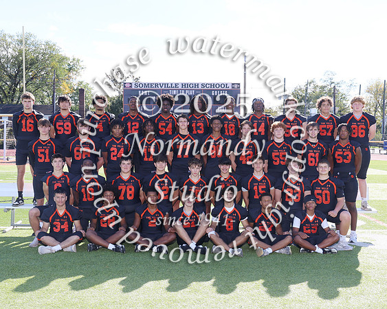 SVL_fb-v-t_01