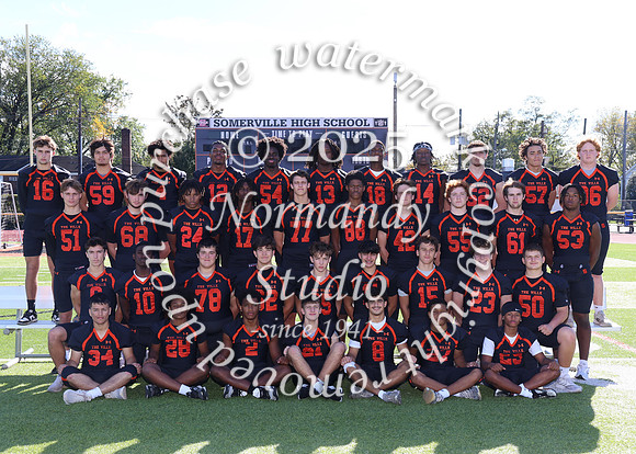 SVL_fb-v-t_02