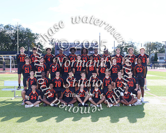 SVL_fb-v-t_06