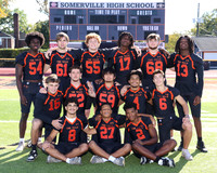 SVL_fb-v-t_11