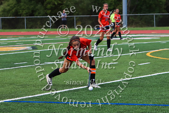 SVL_fh_46