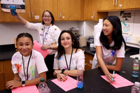 WHS_slc_020