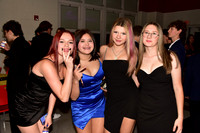 BER_hc-dance_11