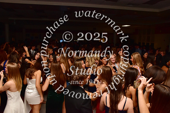 BER_hc-dance_47