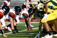 SVL_fb-f_05