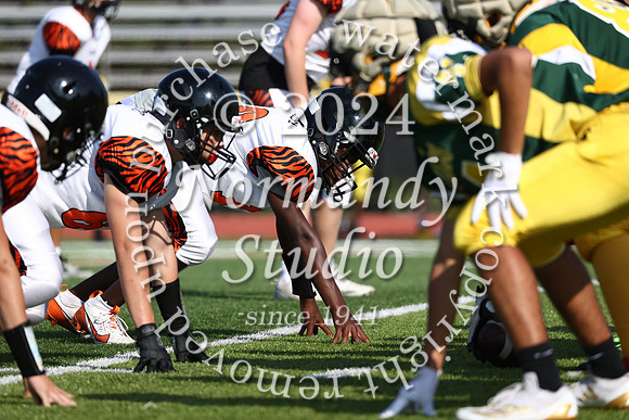 SVL_fb-f_05