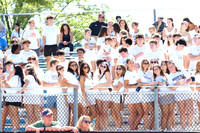 WHS_fb_fans_17