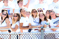 WHS_fb_fans_20