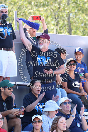 WHS_fb_fans_30