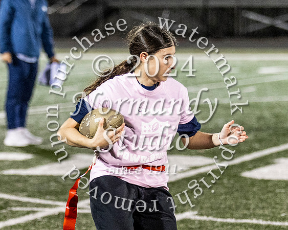 ALJ_powderpuff_58
