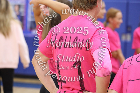 WHS_pink out_13
