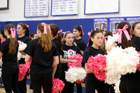 WHS_pink out_20
