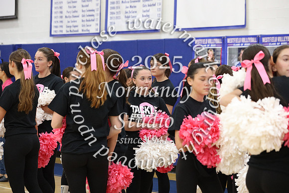 WHS_pink out_20