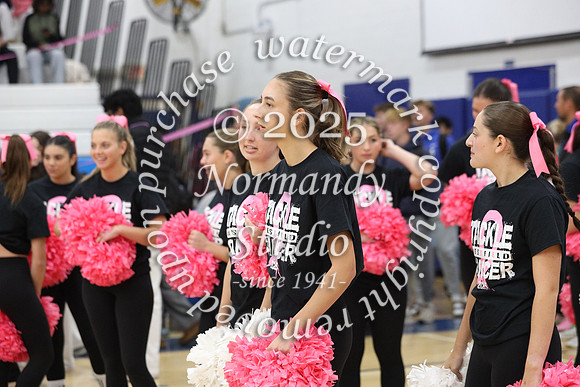 WHS_pink out_19