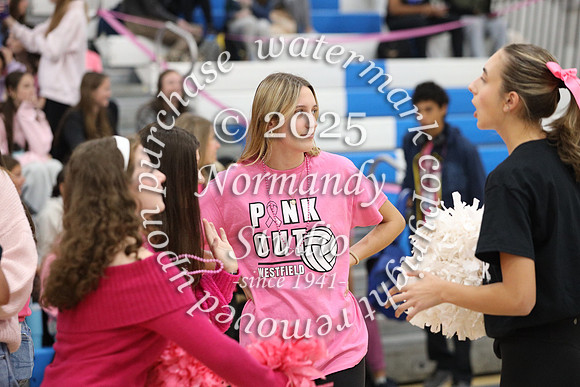 WHS_pink out_34
