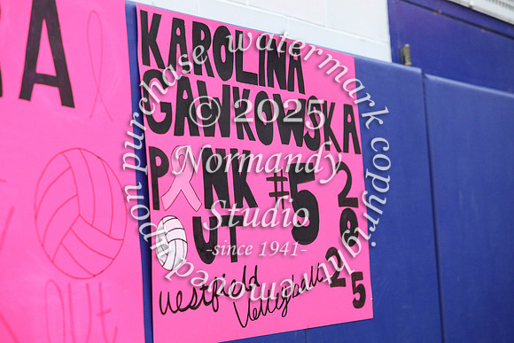 WHS_pink out_35